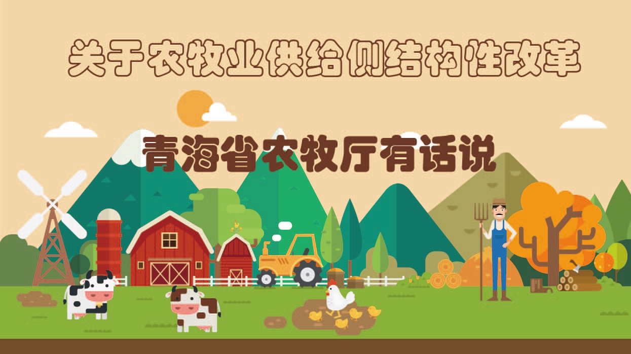 關于農(nóng)牧業(yè)供給側(cè)結(jié)構(gòu)性改革 青海農(nóng)牧廳有話說