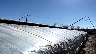 新鮮！青藏高原長出&ldquo;熱帶水果&rdquo;