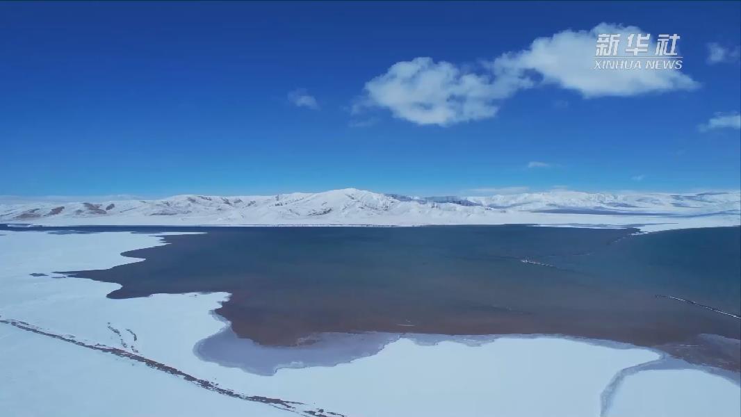 青?，敹啵憾喾N珍稀野生動(dòng)物亮相黃河源頭