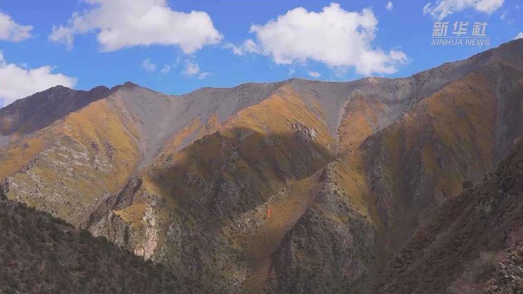 4362張照片！他們在這里堅(jiān)持10年開展雪豹種群動(dòng)態(tài)研究